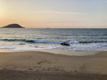 �����񍐎ʐ^